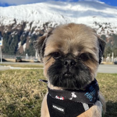 kitchenistakate's tweet photo. #NewProfilePic https://t.co/LiF1ZjA0Kw