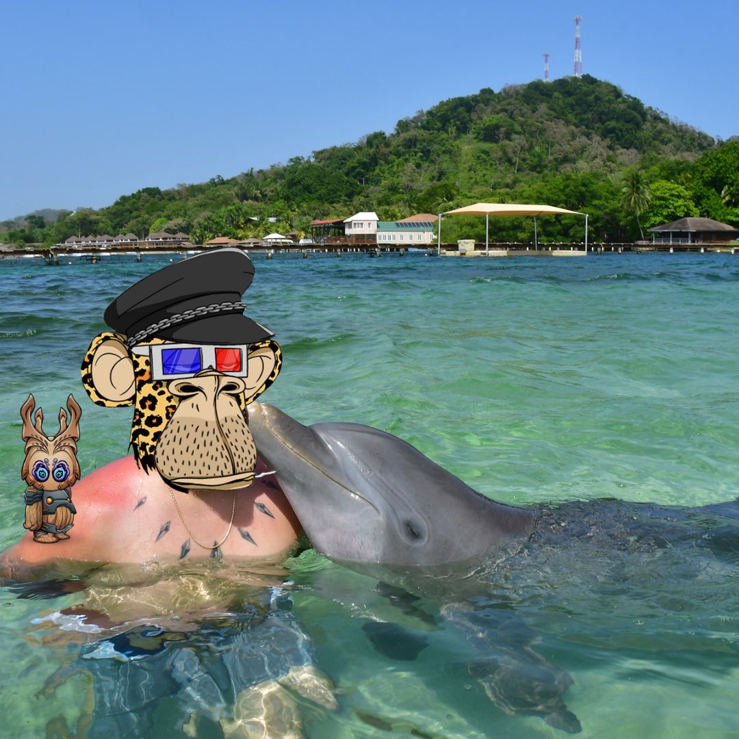 racs_o's tweet photo. Can Kodas swim in the @OthersideMeta ? https://t.co/5kuvPXE323