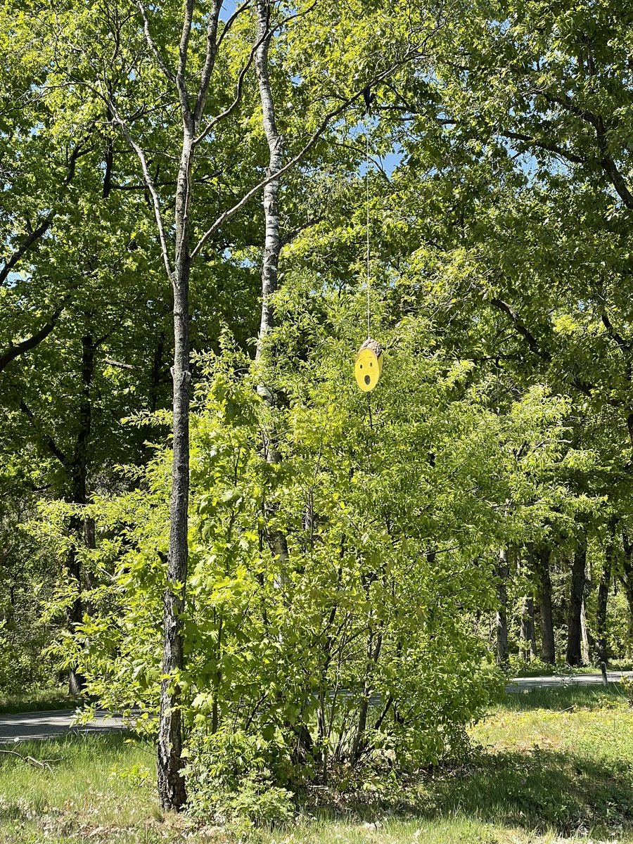 Vandaag een mooie ronde gefietst, er zat een weg bij waar ze houten emoticons in de bomen gehangen hadden. Daar moest ik gewoon even voor stoppen. Zo leuk!