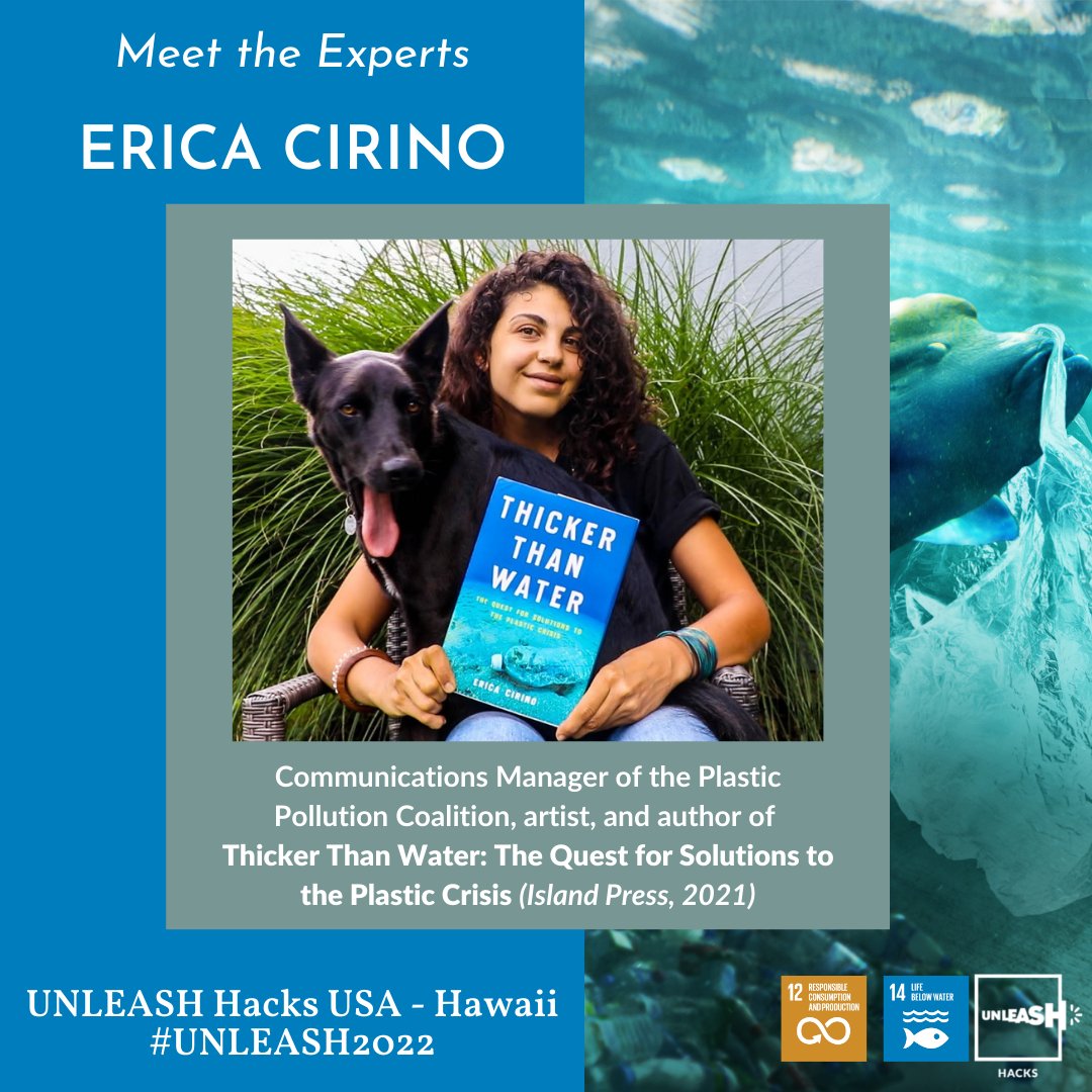 Meet Erica Cirino (<a href="/erica_cirino/">Erica C.</a>), an environmental communicator and the author of Thicker Than Water. She speaks about plastic pollution from her perspective as a photojournalist and wildlife rehabilitator.

#UNLEASH2022 #UNLEASHHacksUSA
ericacirino.com/plastic