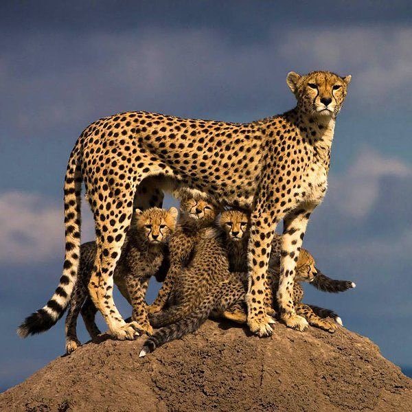 Happy #MothersDay! ❤️