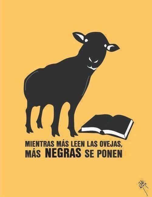 Libripedia tweet media