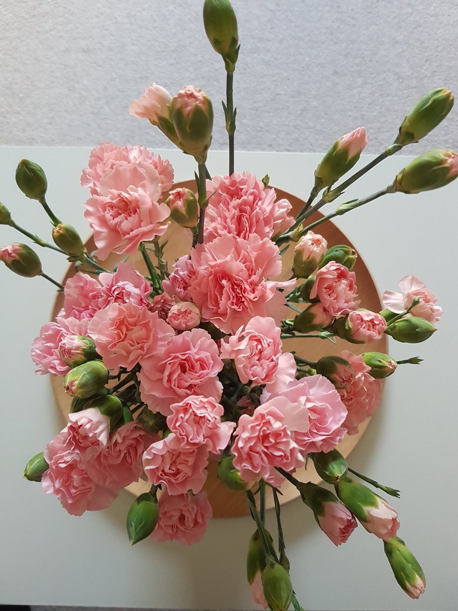 Fitstepswithch1's tweet photo. #Fitsteps Tone has been a bit of a hard sell to my participants, but those who come are reaping the benefits.  When I do an extra class on a Sunday, that reward includes stopping at the pub 🤣🍹 Plus flowers from a grateful Fitstepper 😍💐
The little things make it worth it💙 https://t.co/DmeBJJgEx2