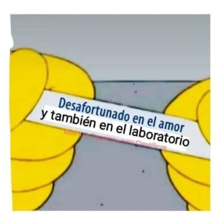paty_rodil's tweet photo. Mi vida en un tweet https://t.co/JZKQbXynSt