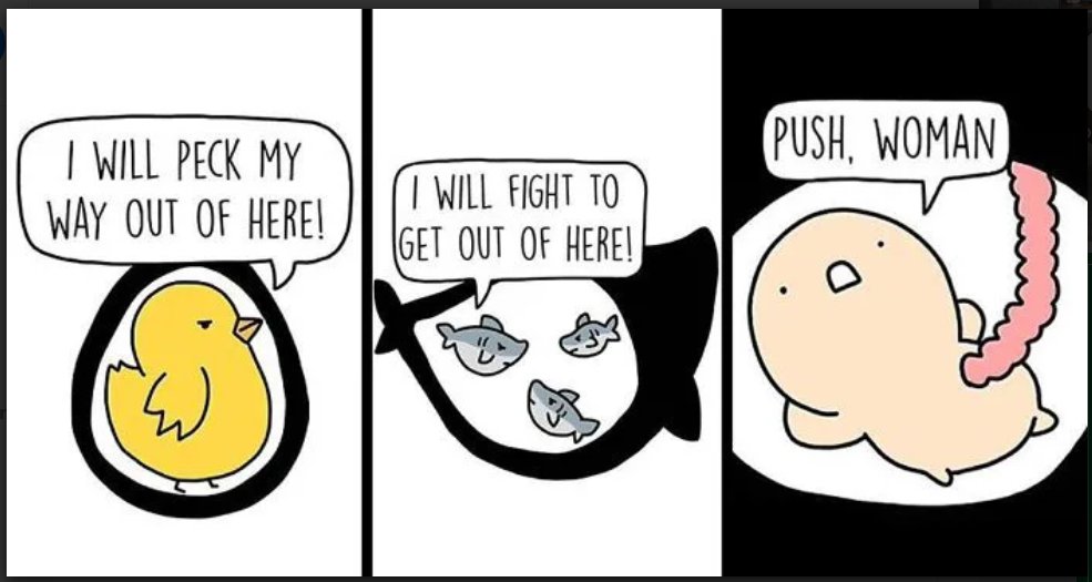 I'm sure you're all like that 😜 #memelandnoticeme <a href="/9gagceo/">9GAGCEO</a> <a href="/bananamilkhin/">BANANAMILKHIN ❤️ Memeland</a>