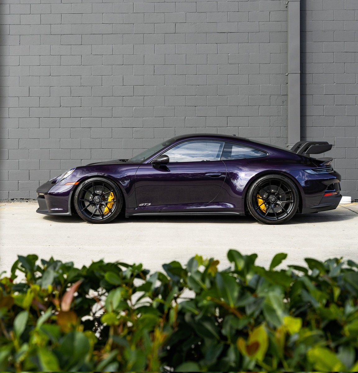PorscheCIub tweet picture