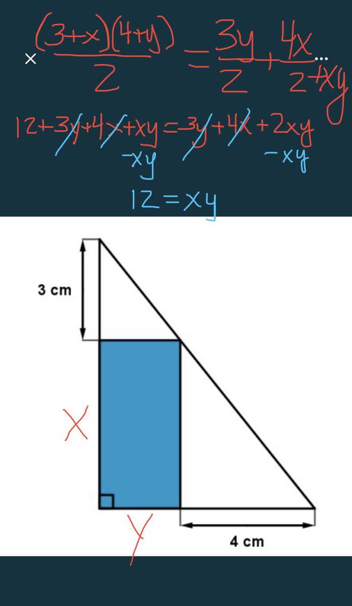 Brianne Major tweet media