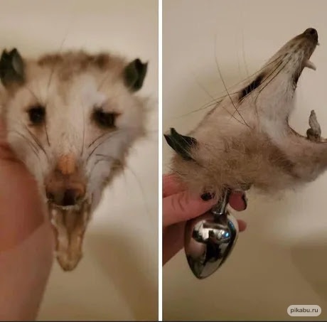 shut up and take my money https://t.co/zXyYHuJcTF<a href="/tag/phmodelcontest"class="tags"><span>#phmodelcontest</span></a>