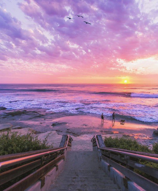 Sunsets 🌅 tweet media