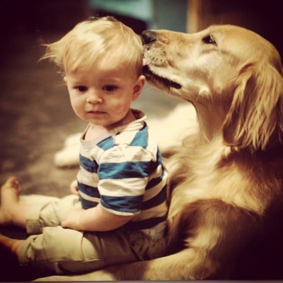 "We need tenderness in looking. We urgently need tenderness in touch, tenderness in speech. We need the gentleness of tenderness making an abode in the heart. The world is dry... it is necessary to sow emotions."
   - Lene Dantas
   #love #animals #feelings #tenderness #humanity