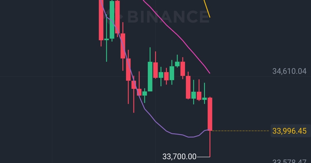 __Echoo_'s tweet photo. That was a headshot bounce 😎
First alert DCA ⚠️✔️
2nd alert all in

$Btc #Binance
#cryptocurrency

https://t.co/BbupeEnrrY https://t.co/FwcPa8PwQ8