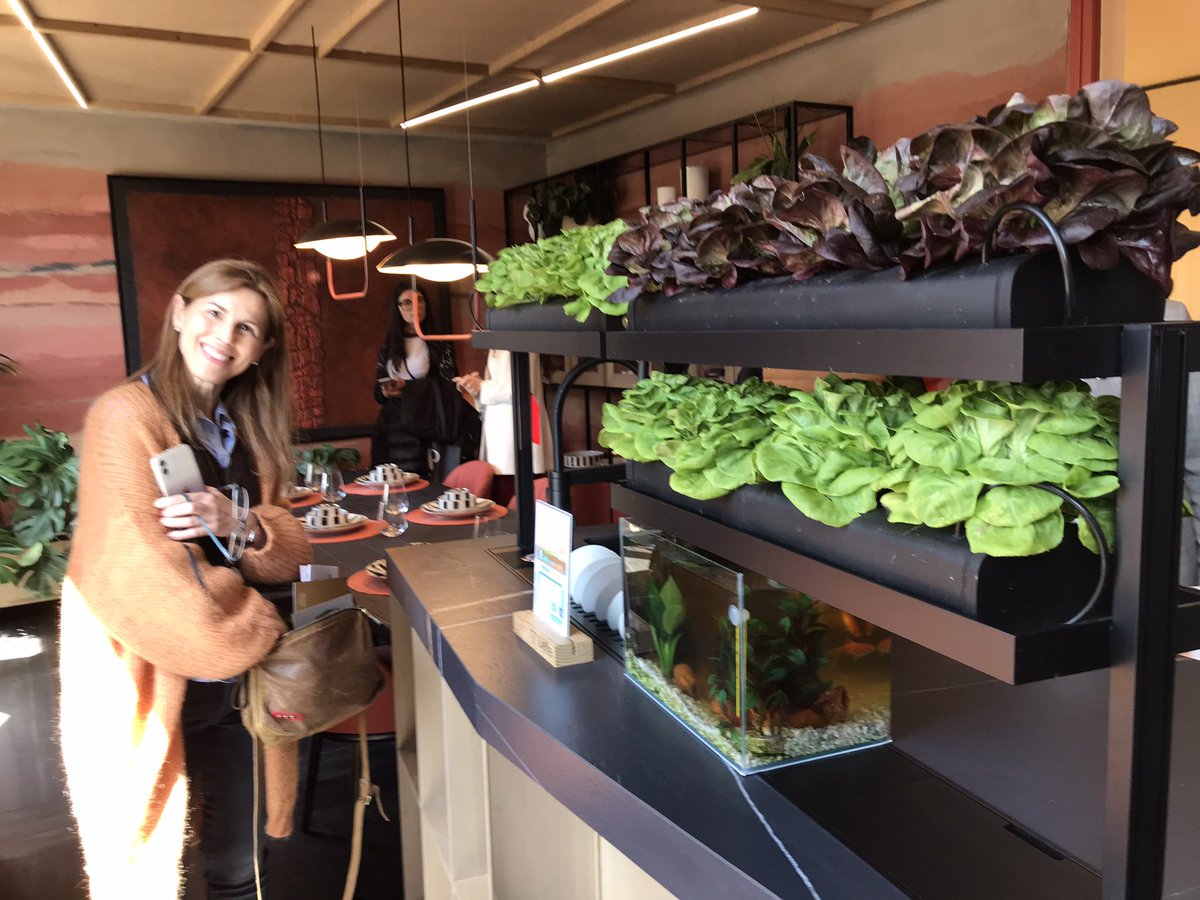 Jump Into Reality® tweet media