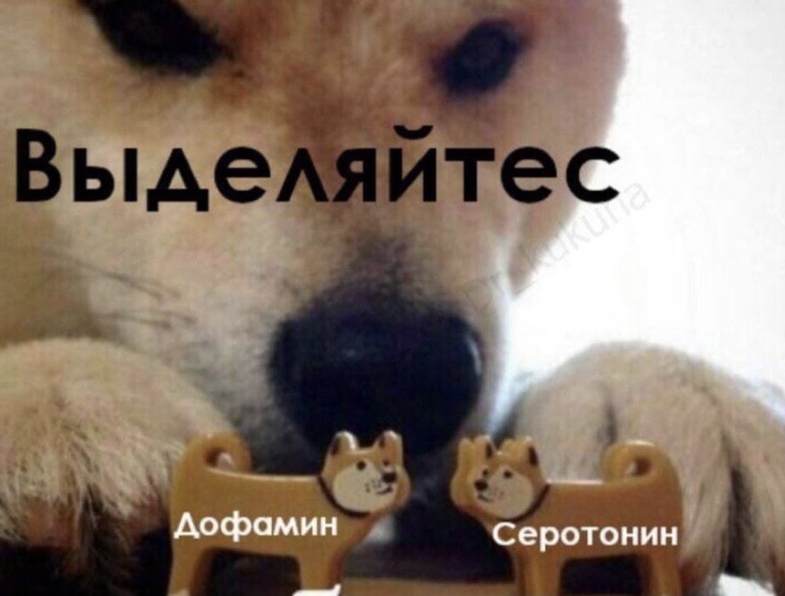 Я этой весной: