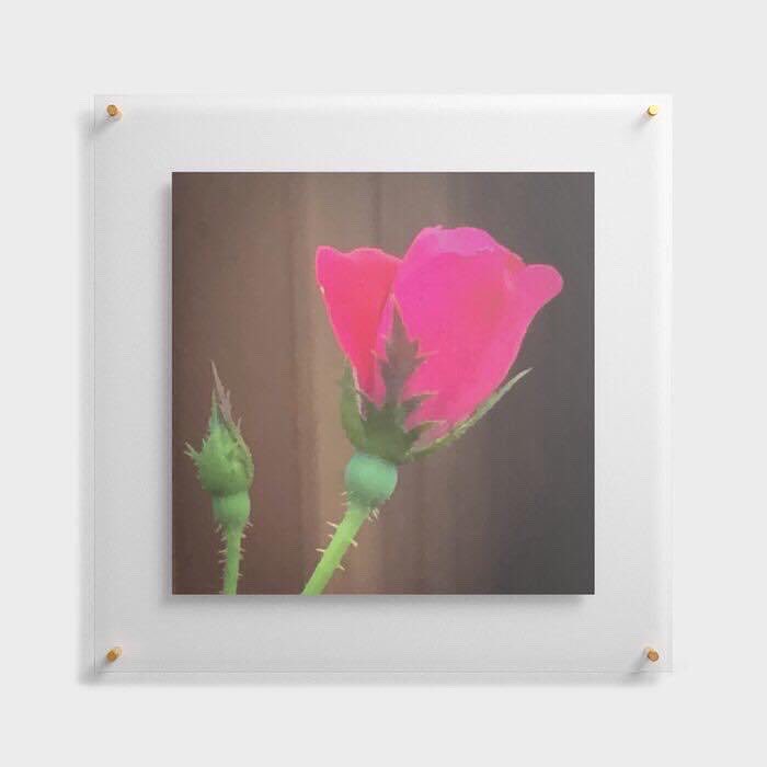 pulaskishepherd's tweet photo. “Single Rose Budding” Floating Acrylic Print
#PulaskiShepherdCo
#pscsco
#SingleRoseBudding
#FloatingAcrylicPrint
#society6
https://t.co/dN0BhhyOTA https://t.co/JrXc5bDZS8