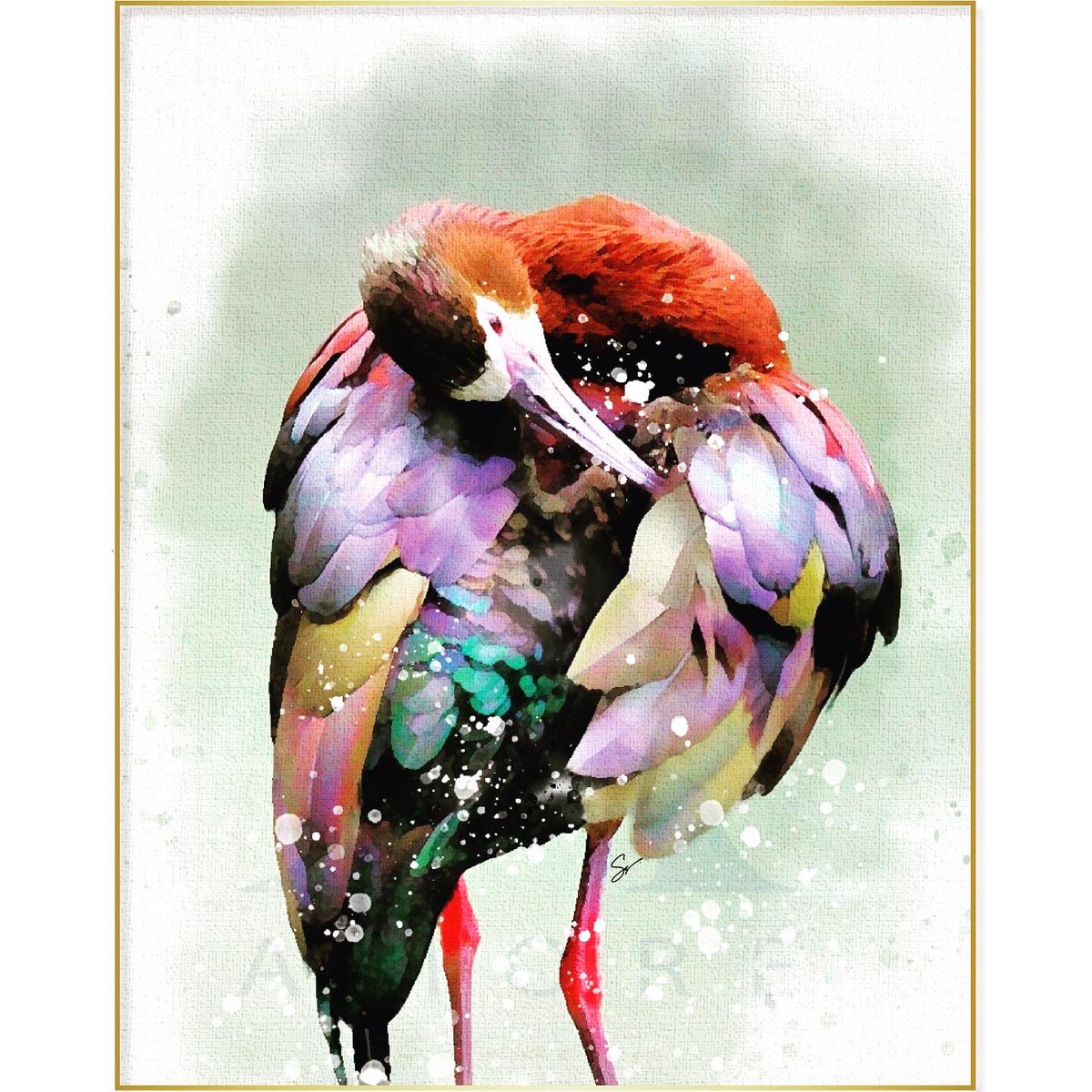amore_ssdesign's tweet image. White face lbis painting🎨
.
.
.
Original photograph was posted by US department of Interior on twitter…📸
#amore  #usdepartmentoftheinterior #artist #watercolorartist #homedecor #artistsoninstagram #drawing #fineart #wildlife #wildlifephotography #instagood #artistic #amore❤️