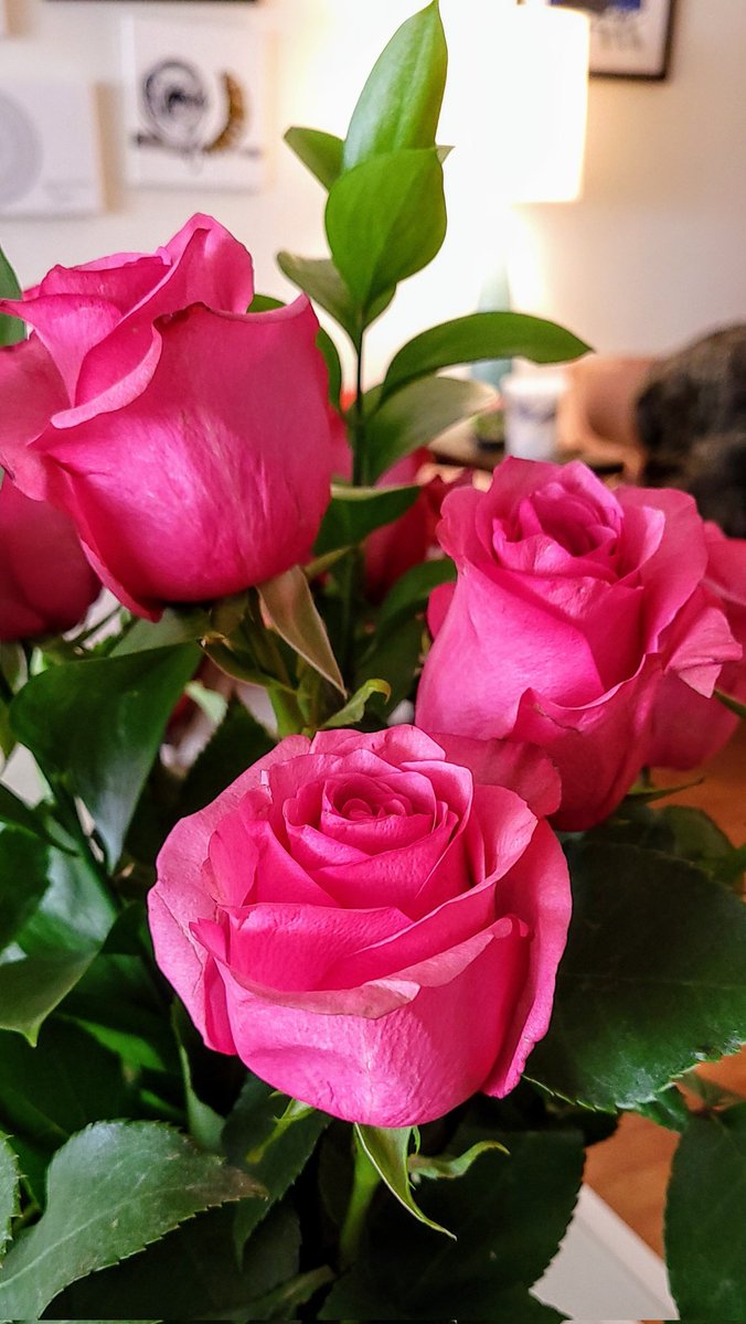 "To describe my mother would be to write about a hurricane in its perfect power. Or the climbing, falling colors of a rainbow." -- Maya Angelou
#HappyMothersDay2022