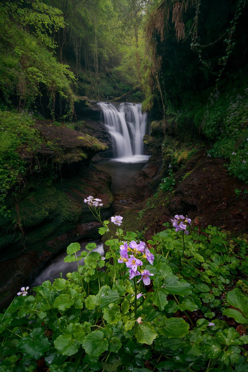 Good afternoon Guys!

Here you have my last picture, good week everybody 💪🏻💪🏻!