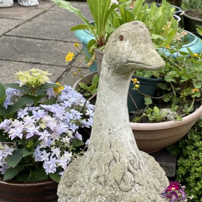 eunice_r's tweet image. #NewProfilePic