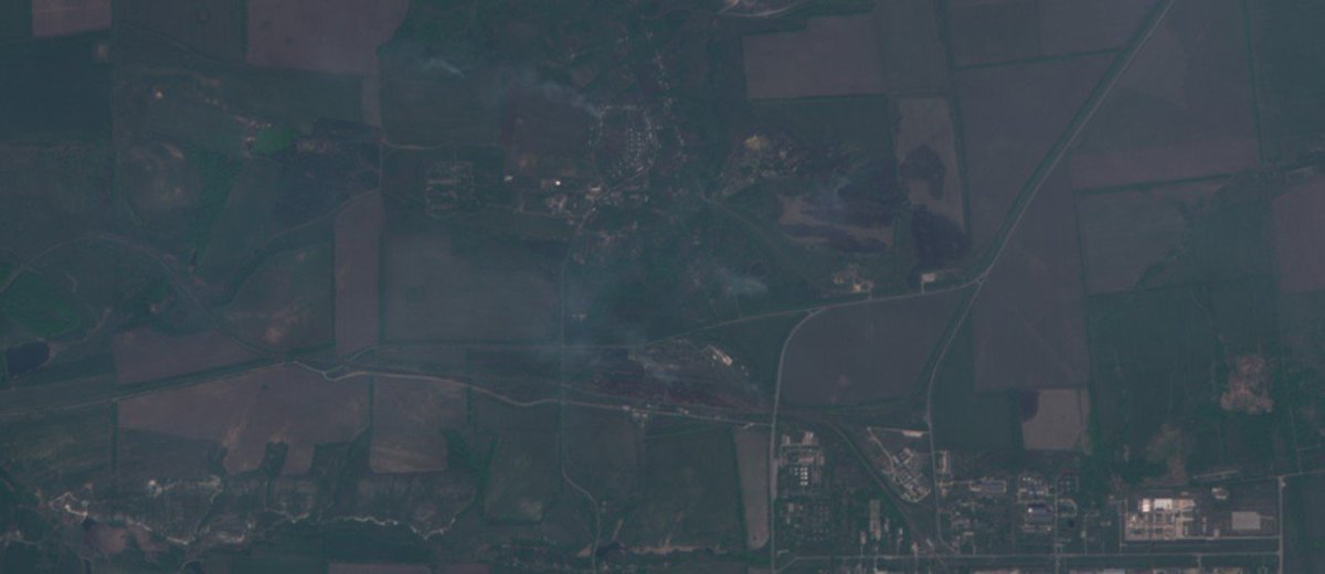 Military Intelligence tweet media