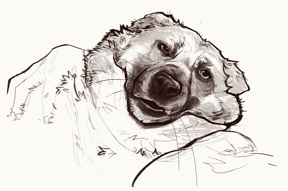 weredevil's tweet photo. ugly ripley https://t.co/AqTdDj44pF