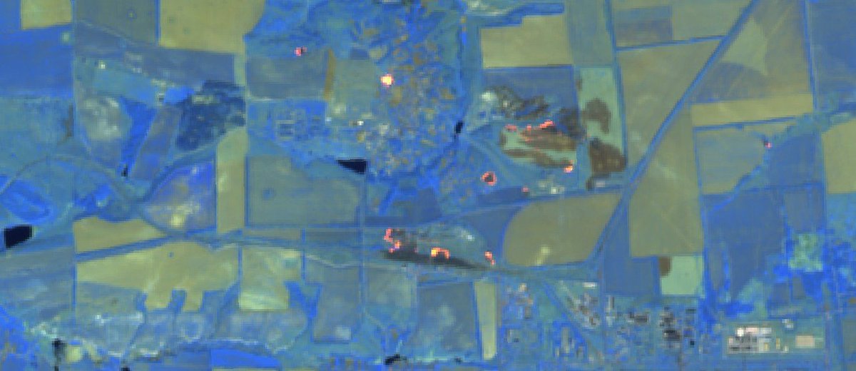 Military Intelligence tweet media