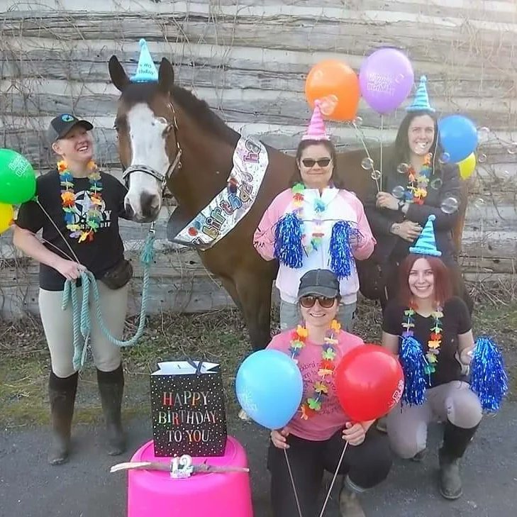 Patty_Townsend's tweet photo. When the best school horse on the farm has a birthday, we celebrate. # https://t.co/SjHUBMflBp
