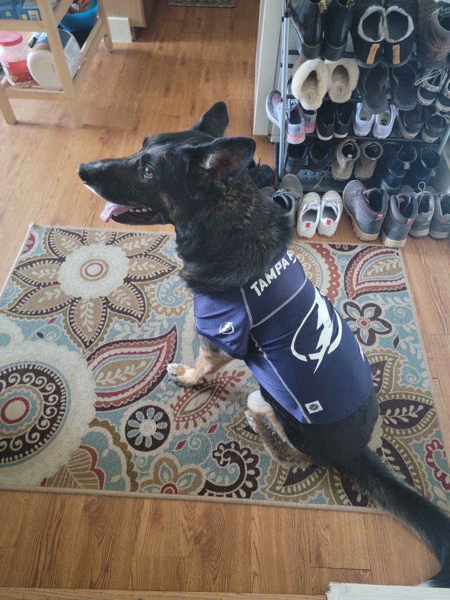 The jersey is back. <a href="/TBLightning/">x - Tampa Bay Lightning</a> ain't losin today.