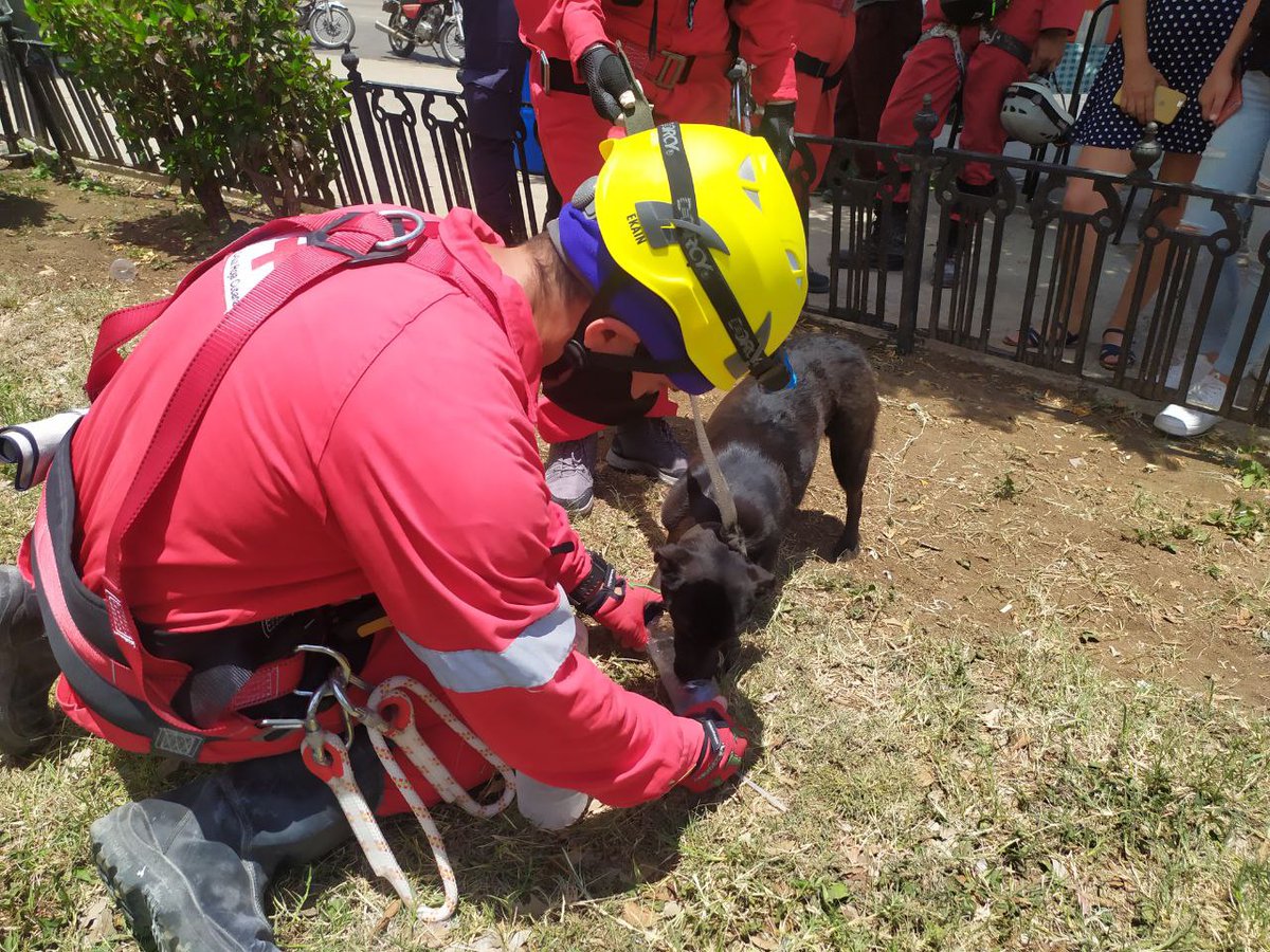 cubadebatecu's tweet photo. 🐶🐶 Chusa y Sultán, salvados de los escombros.

Arnaldo Álvarez, miembro de la Cruz Roja Cubana, explicó que los bomberos hicieron una exploración y encuentran primero a la hembra y luego al macho. https://t.co/lGmJqVvHAj