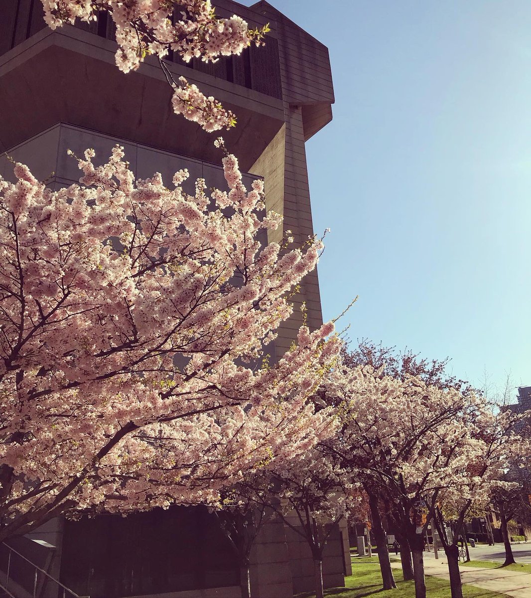 Melinda Scott tweet media