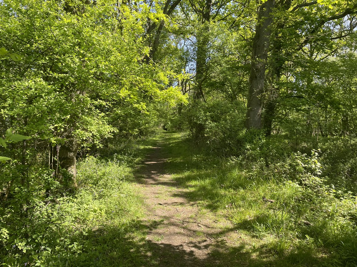 BritainsHigh's tweet photo. 27/47 Chrishall Common, Essex, 147m. #walking #getoutthere #TOWIE https://t.co/yydLyCt3CG