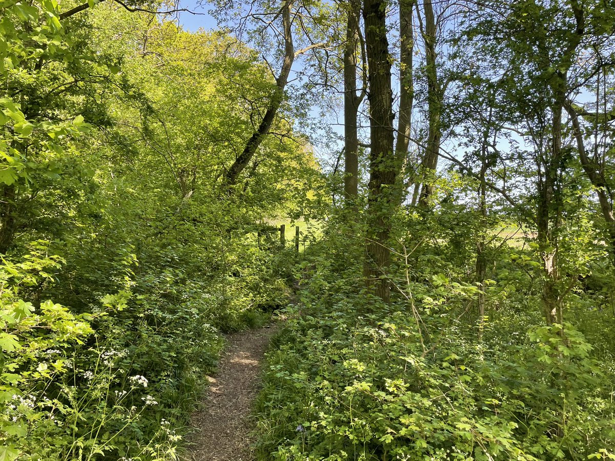 BritainsHigh's tweet photo. 27/47 Chrishall Common, Essex, 147m. #walking #getoutthere #TOWIE https://t.co/yydLyCt3CG