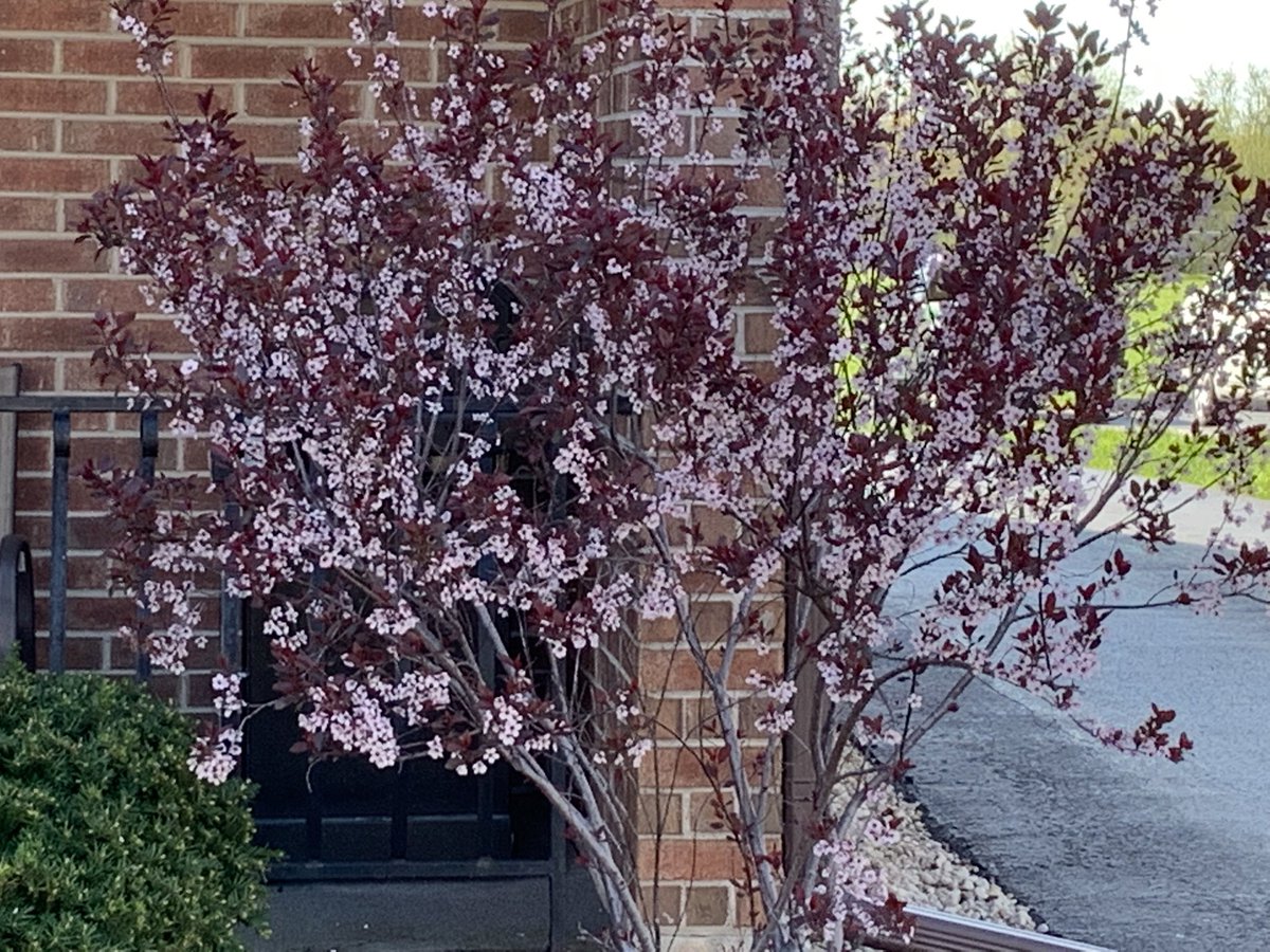 NosferatuVK's tweet photo. #RandomThoughts #walking #WeekendExercise The constant rain does eventually pop some colours.
Bonus pic from the “Santa peeing on Trump” house. 👇🎯 https://t.co/hzOdpxrVWh