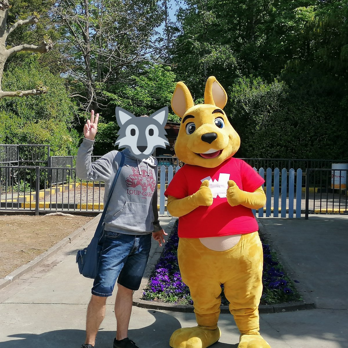KilgarrahThomas's tweet photo. -FR-
J'ai passé une excellente journée aujourd'hui à Walibi ! 😎
Et vous, comment avez-vous profité de cette journée ensoleillée ?

-EN-
I spent a great day today at Walibi! 😎
And you, how did you enjoy this sunny day?

#FurryWolf #Walibi #WalibiBelgium #Parkfan #Coasterfan https://t.co/xJL5gpnJNl