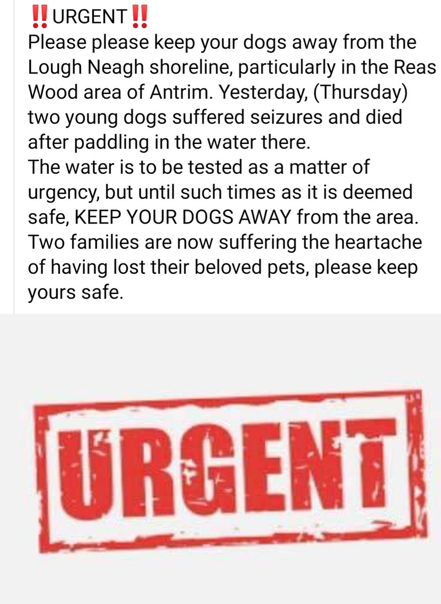 DandersDoggy's tweet photo. Just received this in a DM.
Anyone shed any light on this? https://t.co/RpXM25x6sk