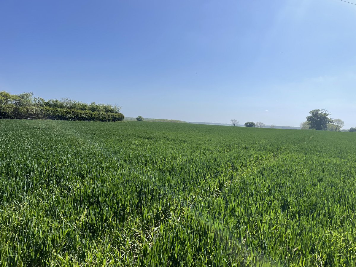 BritainsHigh's tweet photo. 26/47 Great Chishill, Cambridgeshire, 146m. #walk #eastengland #cambridgeshire https://t.co/uwOTovOWQa