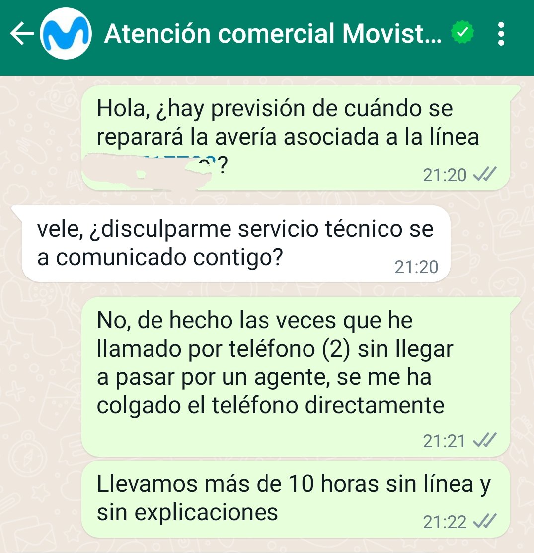 Paloma Marín-Arraiza tweet media