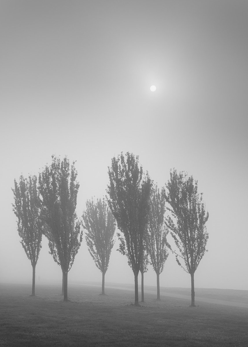 <a href="/CattellMT/">Matthew Cattell</a> - Gathering 
⚫ <a href="/LEEFilters/">LEE Filters</a>  Landscape $Polariser
📷 <a href="/NikonEurope/">NikonEurope</a> $D850
⭕ Nikon 24-70mm f2.8, shot at 62mm
⚙️ f5.6, ISO 64, 1/640 seconds
🖥️ Lightroom: Conversion to black and whites, localised adjustments to exposure, vignette and crop
🔗 bit.ly/2YCexpm