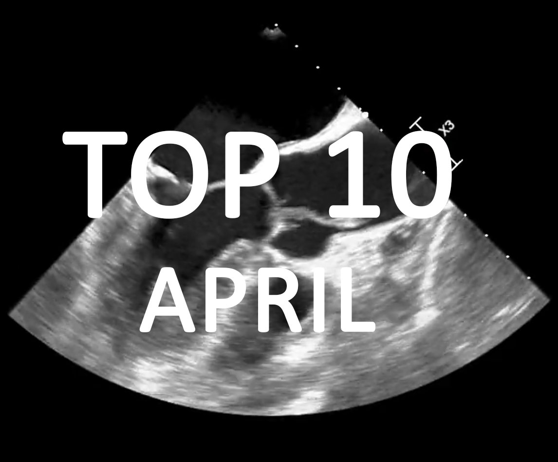 CardioNotion tweet media