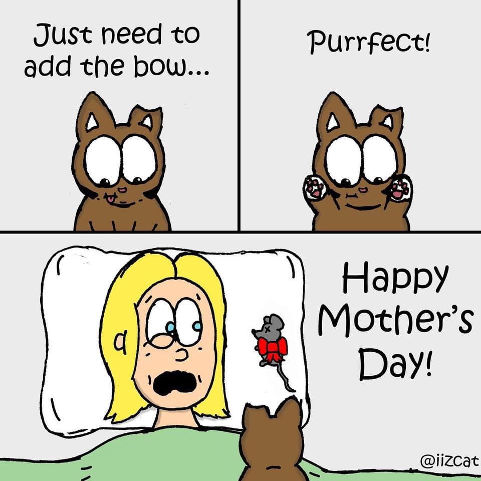 iizcat's tweet photo. Happy Mother’s Day to all the cat moms out there! Minnie wishes you all get a nice breakfast in bed 😸 https://t.co/PneN8mHXXN