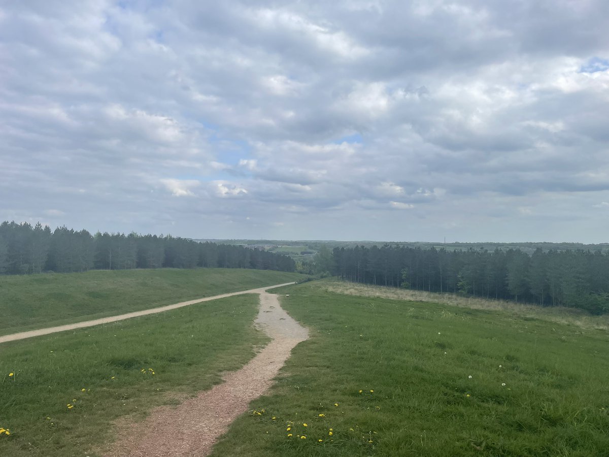 BritainsHigh's tweet photo. 30/47 Silverhill Wood, Nottinghamshire, 218m. #Notts #miners #getoutside https://t.co/VmvwY4nQQR
