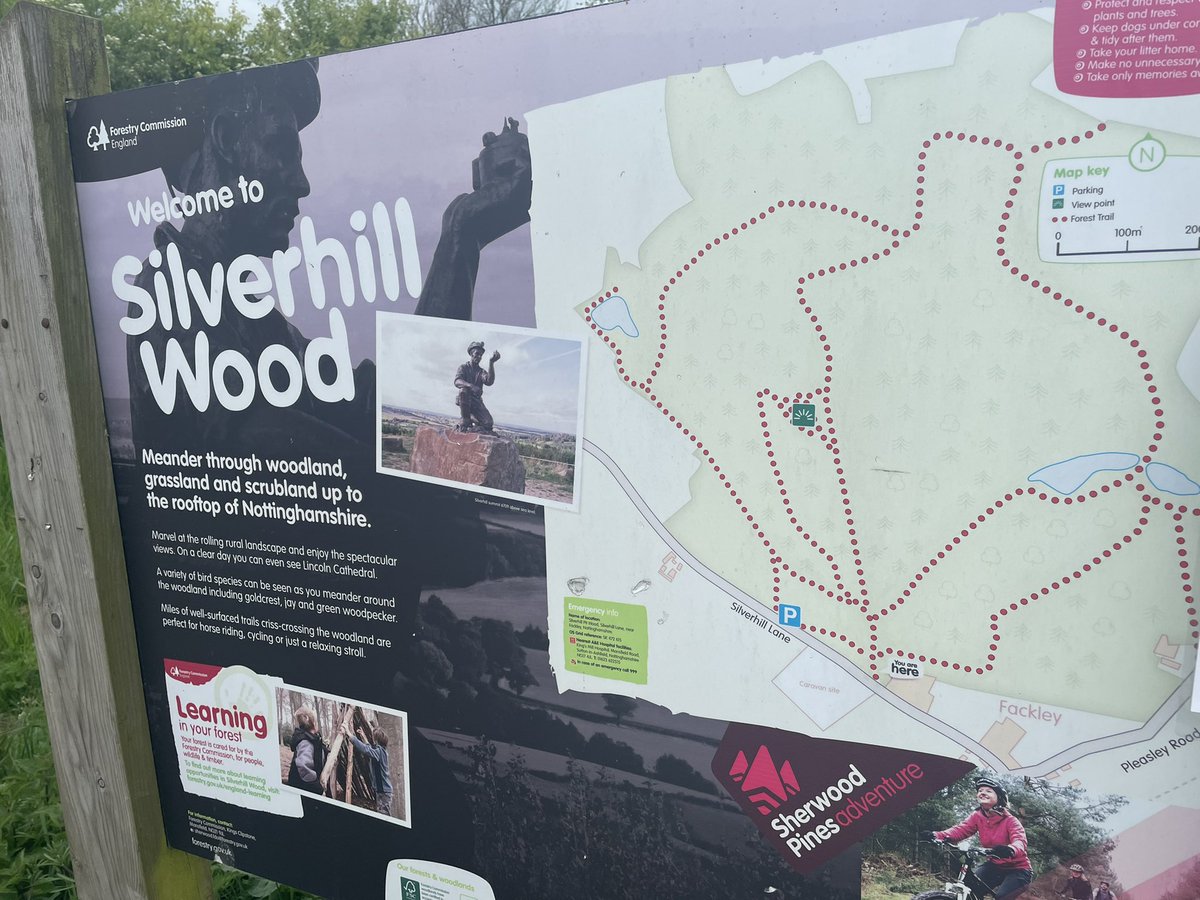 BritainsHigh's tweet photo. 30/47 Silverhill Wood, Nottinghamshire, 218m. #Notts #miners #getoutside https://t.co/VmvwY4nQQR