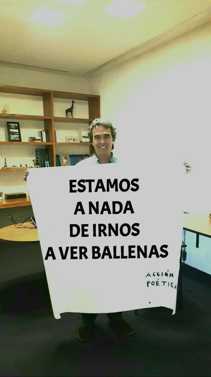 RON456R's tweet photo. @WRadioColombia @sergio_fajardo Dejen de perder el tiempo con Falsardo, todo le vale verga lo unico importante es su ego, ya lo demostro en las elecciones pasadas ayudo a montar a Tiere Duque??? https://t.co/681vpNcbMw