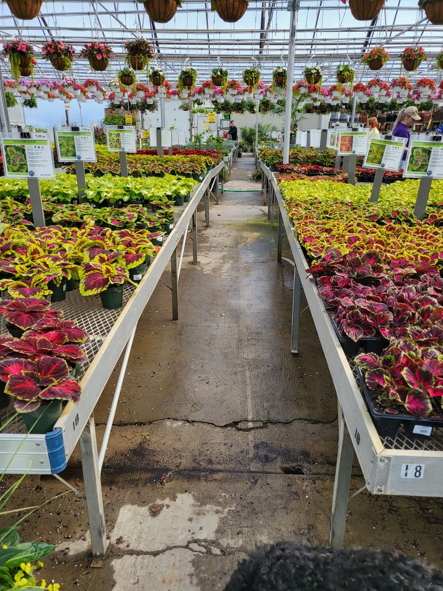 detwill65's tweet image. 