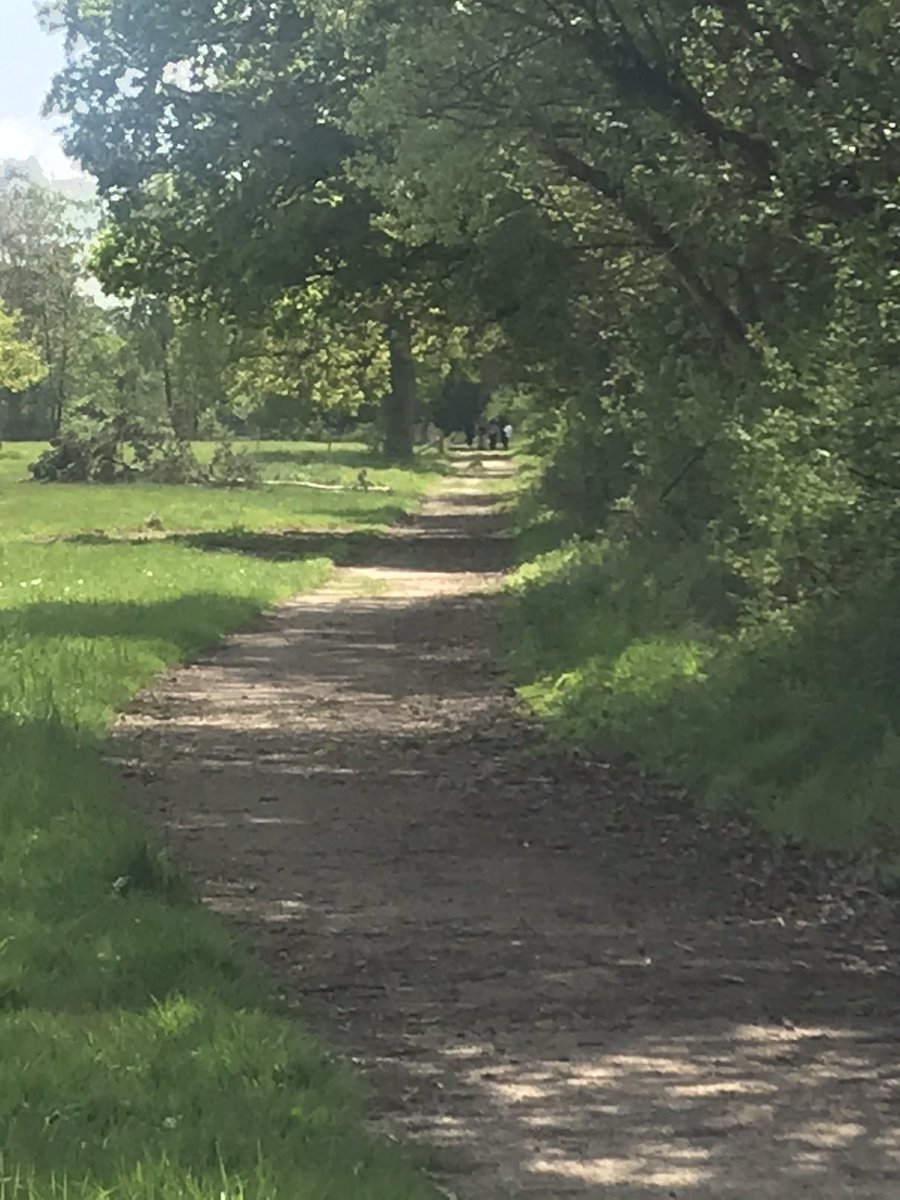 rlsdofe's tweet photo. Well done 🎉 to our Gold DofE Groups at @TheRoyalLatin Practice weekend done ✅ @DofESouthEast @DofE_Kate https://t.co/tRkqiGqOZG