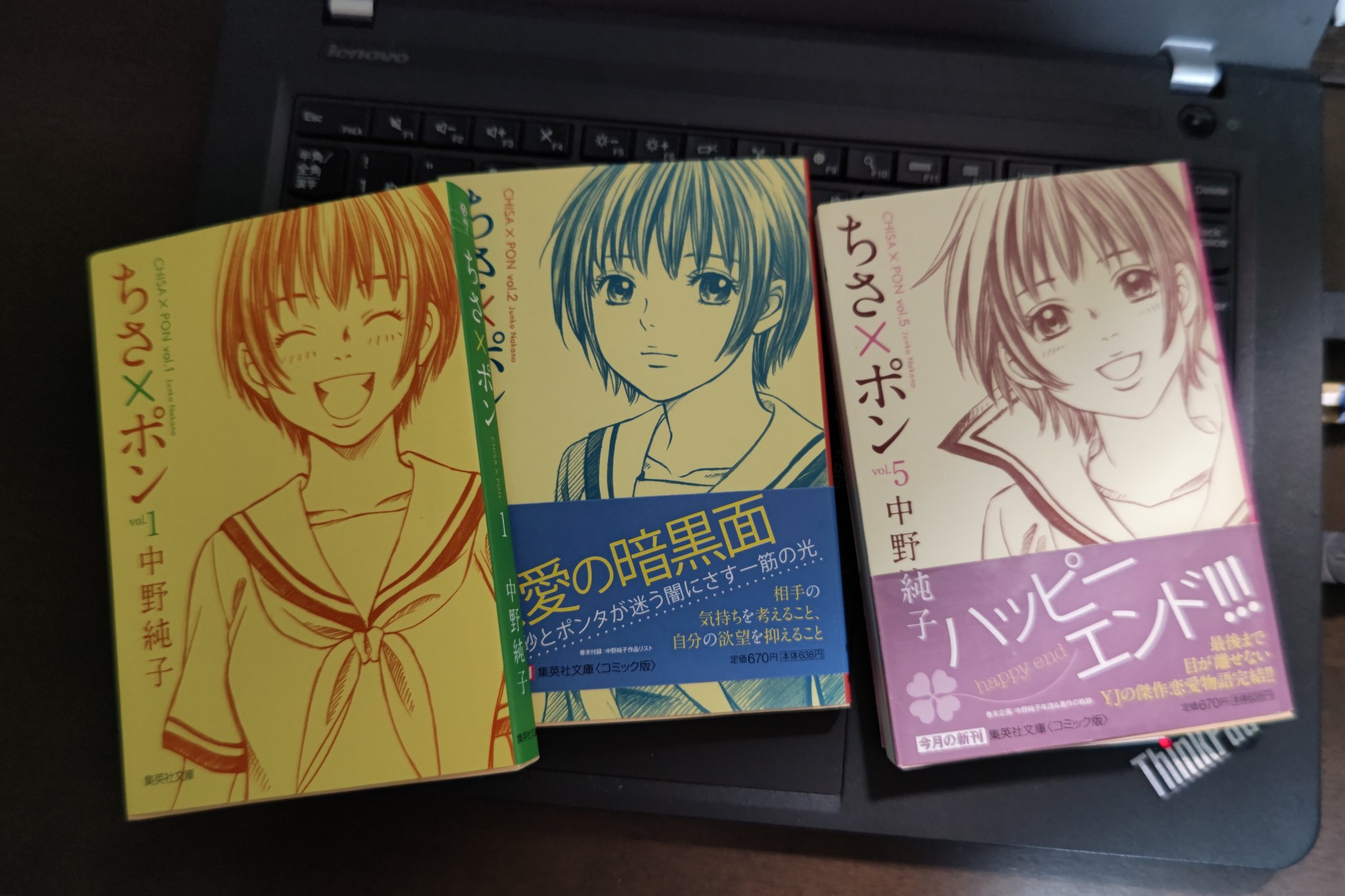 毒島徹雄 作者が個人であることに思いを馳せつつ 本作を再読すると また一層思い入れが深まる 僕はとにかく この方の絵が好きでした 合掌 漫画ネタ ヤングジャンプ作品 中野純子 Twitter