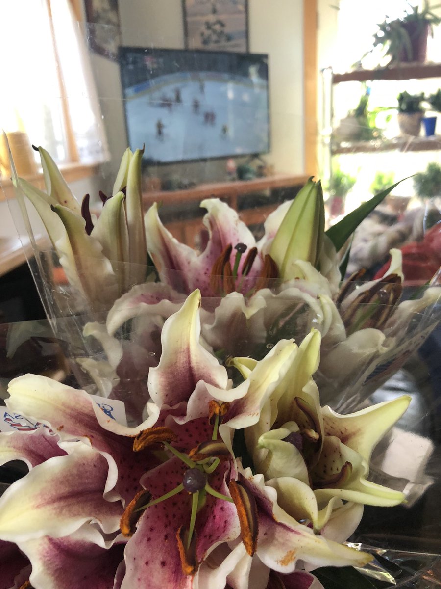 gomer2323's tweet photo. @sidewalkpirate Hubbs just brought us all bacon mcmuffins. And some flowers and adult drinks for the Mama💙💚 #FlowersAndHockey #PuckYes #MothersDay https://t.co/nfry25bojE