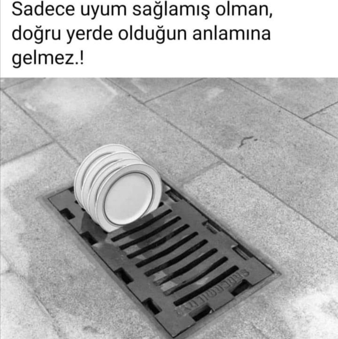 akyhuly's tweet photo. 👍 https://t.co/H8CooTXJFT
