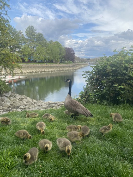 Happy Mums Days :3 I can't wait to see you cuties soon! 🥺🥰 #Vancouver https://t.co/GmM4nFcuUD<a href="/tag/vancouver"class="tags"><span>#vancouver</span></a>