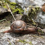 Photo by Mind of a Snail (@MindofaSnail)