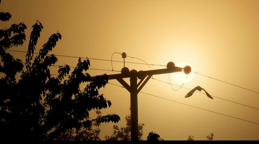 clive mitchell tweet media